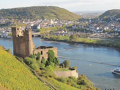 Genießen im Rebenhaus in Rüdesheim