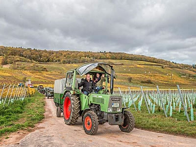 Wohnen im Rebenhaus in Rüdesheim