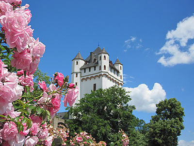 Die Terrasse am Rebenhaus