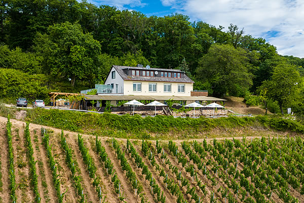 Die Terrasse am Rebenhaus